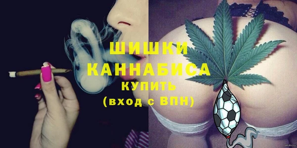 хмурый Богородицк