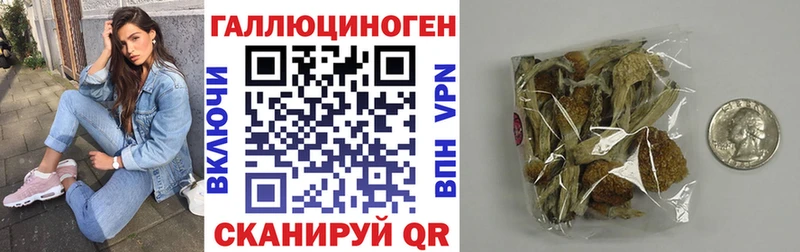 Галлюциногенные грибы мицелий  закладка  Дагестанские Огни 