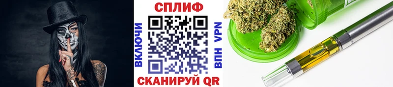 где купить наркоту  Дагестанские Огни  Бошки марихуана THC 21% 